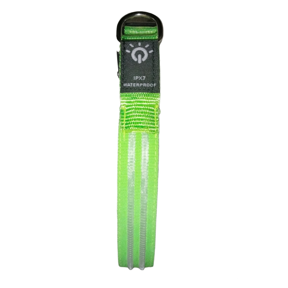 NIB Neon Green LED Pet Collar (Waterproof & Rechargeable)